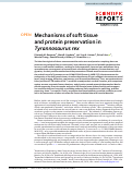 Cover page: Mechanisms of soft tissue and protein preservation in Tyrannosaurus rex