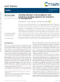 Cover page of Interplay between cortical adhesion and membrane bending regulates the formation of microparticles