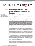 Cover page: Examining the Role of Cone-expressed RPE65 in Mouse Cone Function.