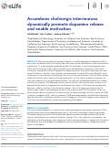 Cover page: Accumbens cholinergic interneurons dynamically promote dopamine release and enable motivation.