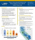 Cover page of Trauma Outcomes and SocioeconomicStress: Insights from the CaliforniaHealthy Places Index