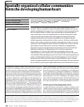 Cover page: Spatially organized cellular communities form the developing human heart