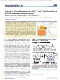 Cover page: Unusual C–H Bond Activation and C(sp3)–C(sp3) Bond Formation at an Fe(II) Bis(amide) Carbene Complex