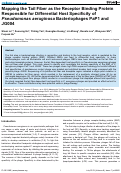 Cover page: Mapping the Tail Fiber as the Receptor Binding Protein Responsible for Differential Host Specificity of Pseudomonas aeruginosa Bacteriophages PaP1 and JG004