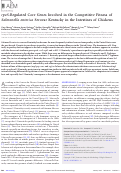 Cover page: rpoS-Regulated Core Genes Involved in the Competitive Fitness of Salmonella enterica Serovar Kentucky in the Intestines of Chickens