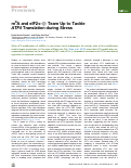 Cover page: m6A and eIF2α-ⓟ Team Up to Tackle ATF4 Translation during Stress