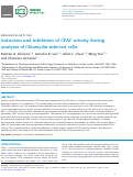 Cover page: Induction and inhibition of CPAF activity during analysis of Chlamydia-infected cells