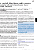 Cover page: A genetically defined disease model reveals that urothelial cells can initiate divergent bladder cancer phenotypes