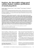 Cover page: Paralytic, the Drosophila voltage-gated sodium channel, regulates proliferation of neural progenitors.