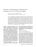 Cover page: Purification of calmodulin from Chlamydomonas: calmodulin occurs in cell bodies and flagella.