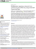 Cover page: Building gene regulatory networks from scATAC-seq and scRNA-seq using Linked Self Organizing Maps.