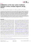 Cover page: SUMOylation at the inner nuclear membrane facilitates nuclear envelope biogenesis during mitosis