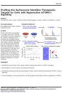 Cover page: Profiling the Surfaceome Identifies Therapeutic Targets for Cells with Hyperactive mTORC1 Signaling*