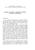 Cover page: Helopinae di Sardegna: zoogeografia e filogenesi (Coleoptera Tenebrionidae)