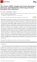 Cover page: The Chicken MHC: Insights into Genetic Resistance, Immunity, and Inflammation Following Infectious Bronchitis Virus Infections