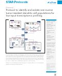 Cover page: Protocol to identify and isolate rare murine tumor-resident dendritic cell populations for low-input transcriptomic profiling.