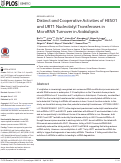 Cover page: Distinct and Cooperative Activities of HESO1 and URT1 Nucleotidyl Transferases in MicroRNA Turnover in Arabidopsis