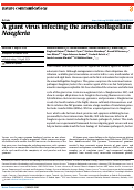 Cover page of A giant virus infecting the amoeboflagellate Naegleria.