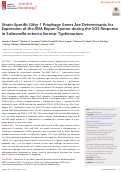 Cover page: Strain-Specific Gifsy-1 Prophage Genes Are Determinants for Expression of the RNA Repair Operon during the SOS Response in Salmonella enterica Serovar Typhimurium