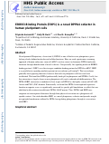 Cover page: ERBB3‐Binding Protein 1 (EBP1) Is a Novel Developmental Pluripotency‐Associated‐4 (DPPA4) Cofactor in Human Pluripotent Cells