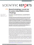 Cover page: Beyond autophagy: a novel role for autism-linked Wdfy3 in brain mitophagy.