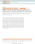 Cover page: ESRP2 controls an adult splicing programme in hepatocytes to support postnatal liver maturation