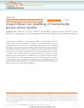 Cover page: Inward lithium-ion breathing of hierarchically porous silicon anodes