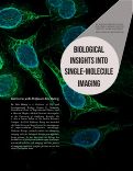 Cover page: Biological Insights into Single-Molecule Imaging