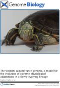 Cover page: The western painted turtle genome, a model for the evolution of extreme physiological adaptations in a slowly evolving lineage.