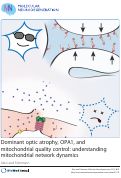 Cover page: Dominant optic atrophy, OPA1, and mitochondrial quality control: understanding mitochondrial network dynamics