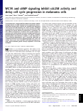 Cover page: MC1R and cAMP signaling inhibit cdc25B activity and delay cell cycle progression in melanoma cells