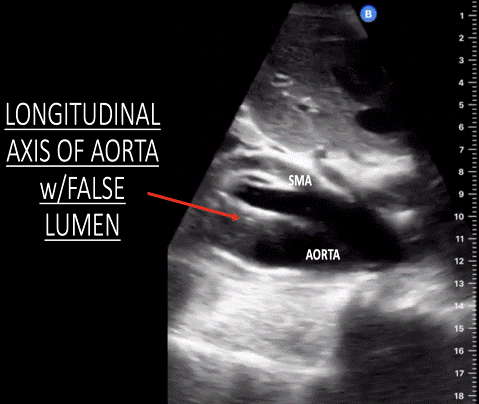 Figure 10: 