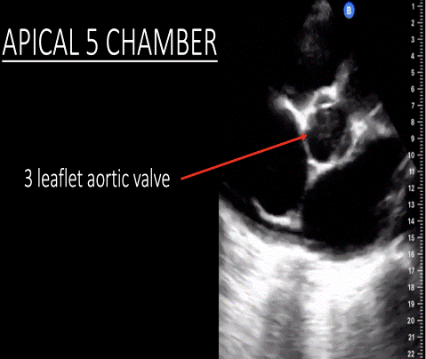  Figure 5: 