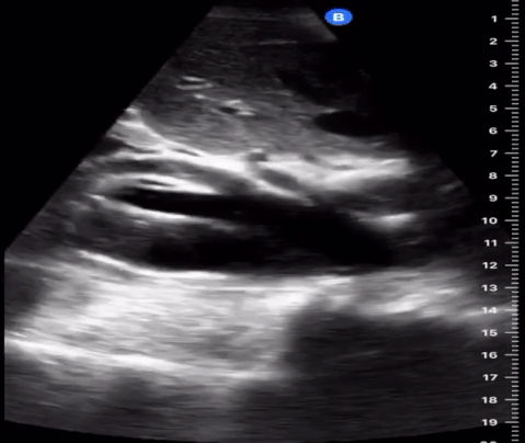  Figure 9: 