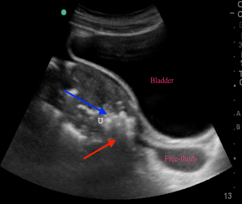  Figure 2 