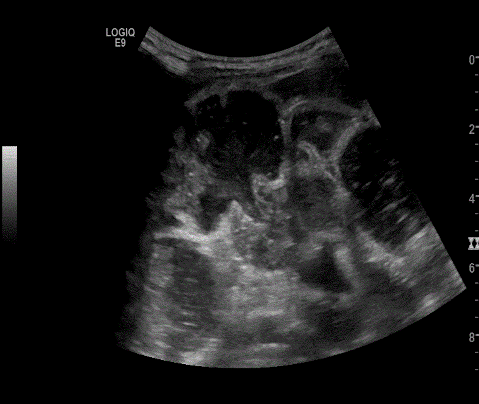  Image5 