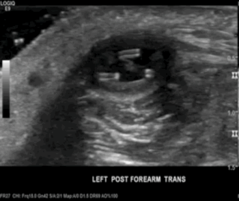 Figure 3: 