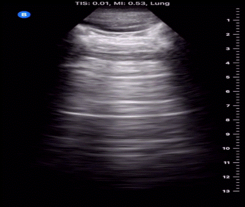  Figure 8 