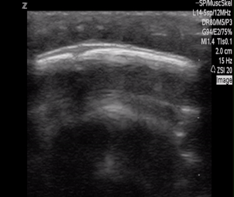  Figure 3 