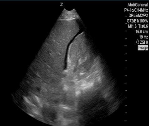  Figure 1: 