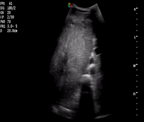  Figure 4 