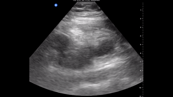  Figure 5 