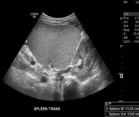  Image3 