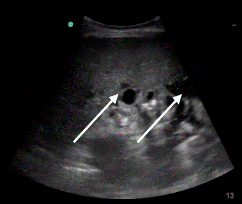  Figure 3 