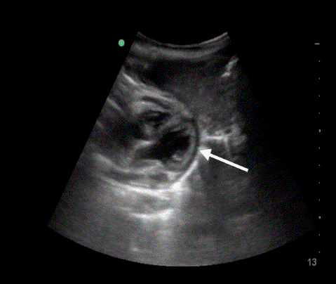  Figure 5 