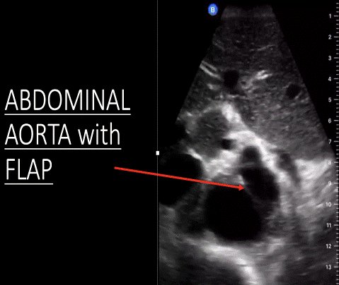  Figure 7: 